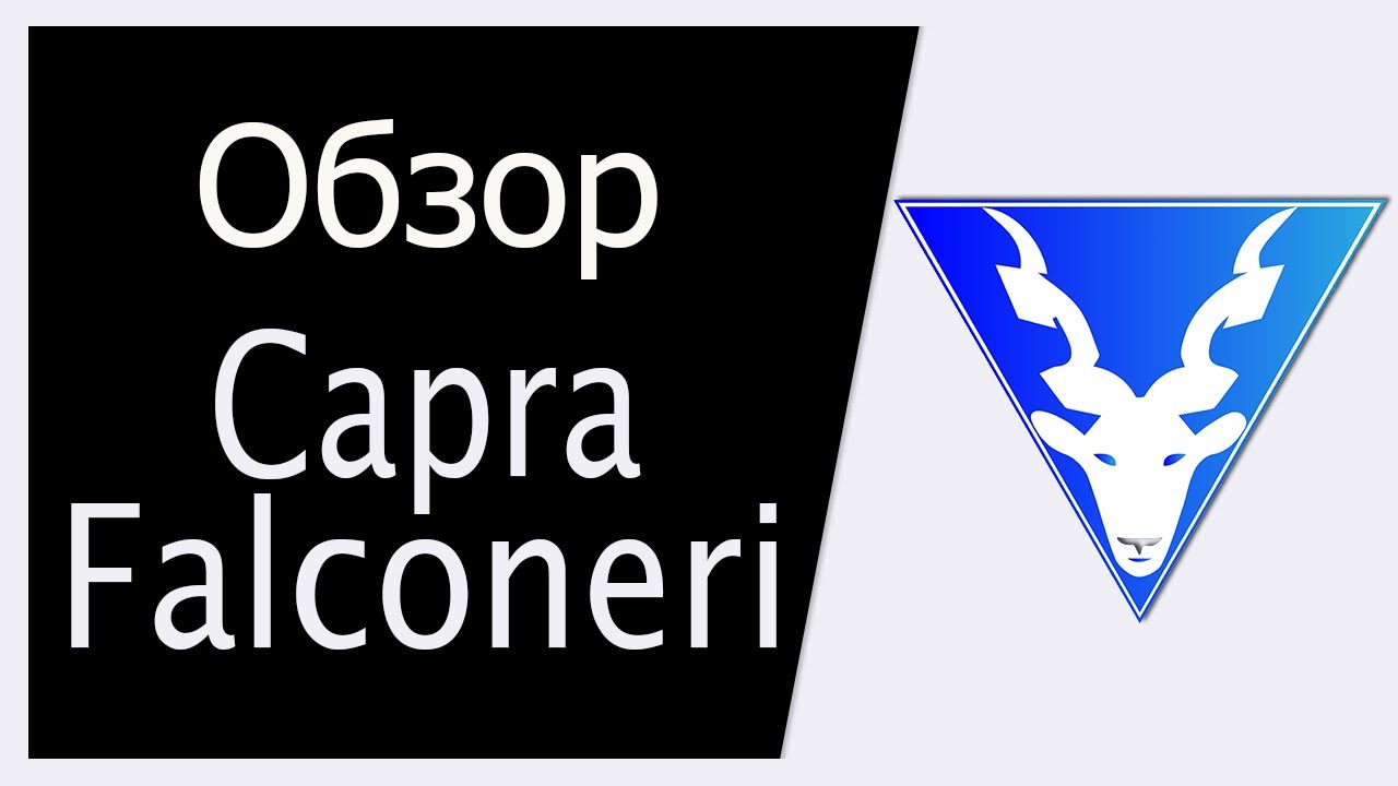 Обзор проекта Capra Falconeri Token