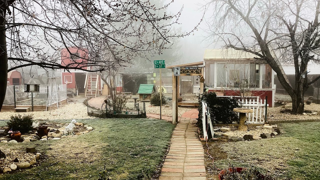 Inversion in Idaho, feeding egg shells back to chickens, 