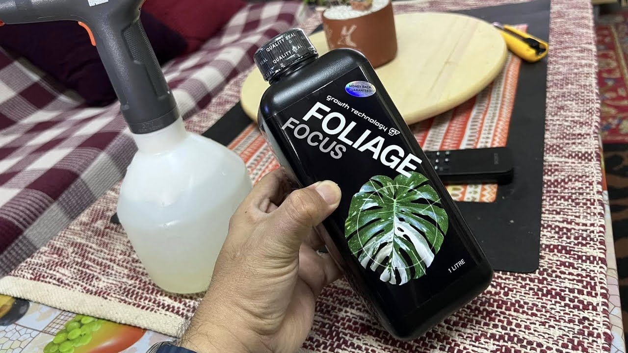 Foliage Focus Fertilizer from Australia #malaysia #fertilizer #foliageplant #focus #baja