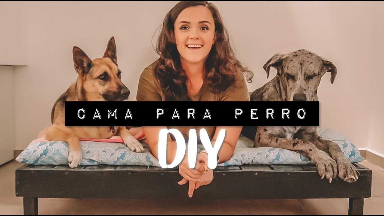 IDEA DIY para hacer una CAMA PARA PERROS 🐶 ¡Consiente a tu mascota!