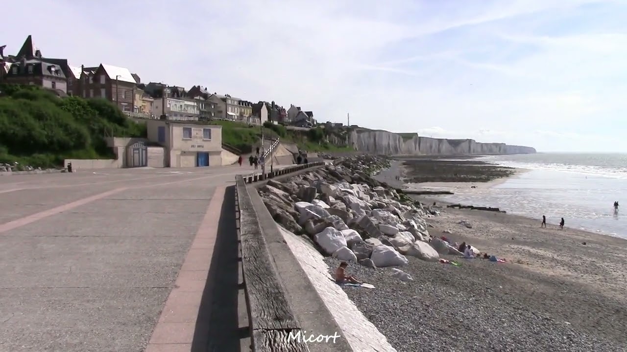 Video Ault 2022