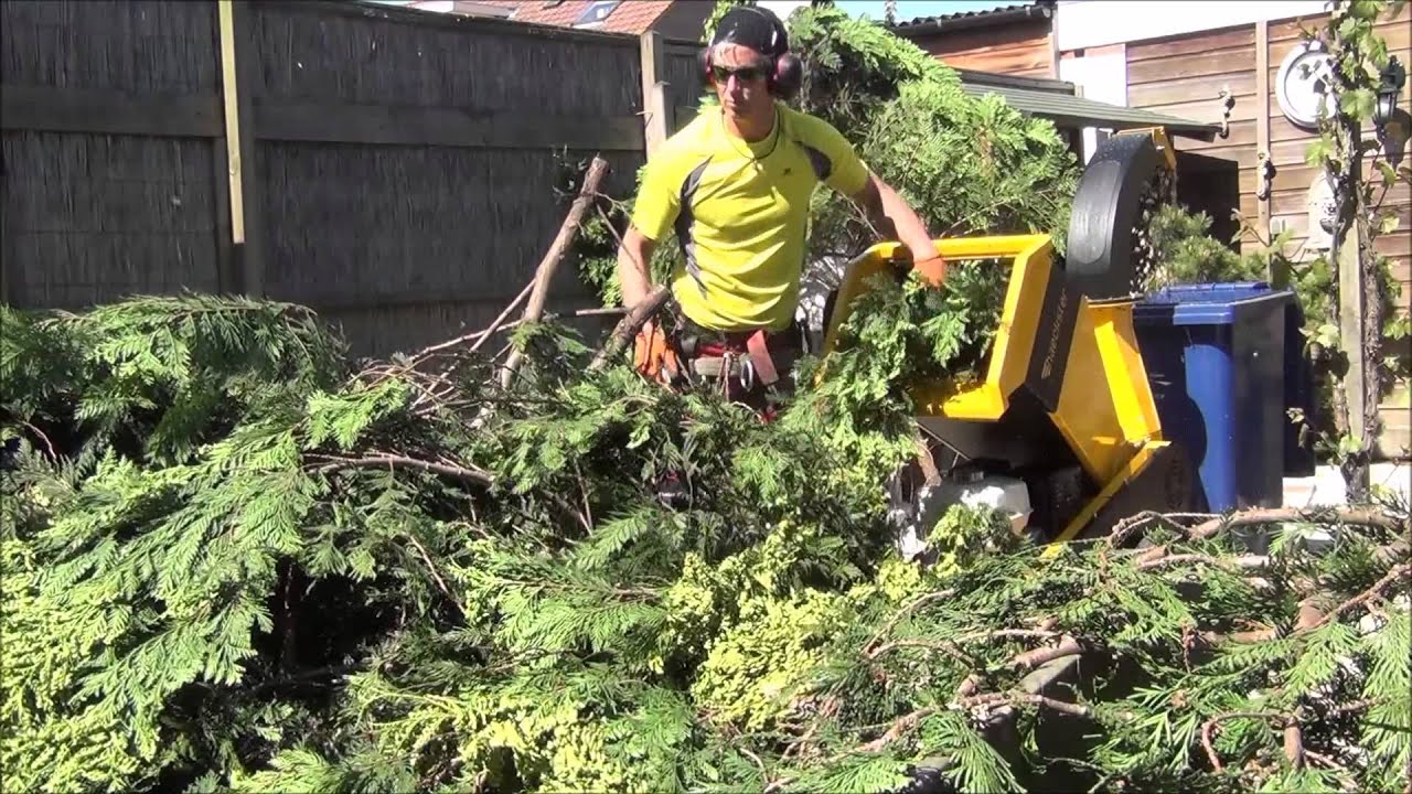 broyeur végétaux branches professionnel