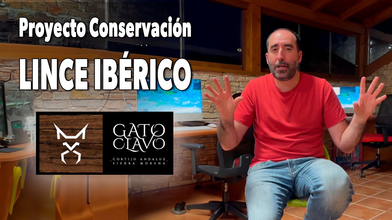 😺 Conservación Lince ibérico | Proyecto Gato Clavo