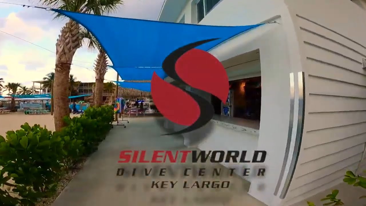 Welcome to Silent World Dive Center - Snorkel & Scuba Dive the Florida Keys with us!