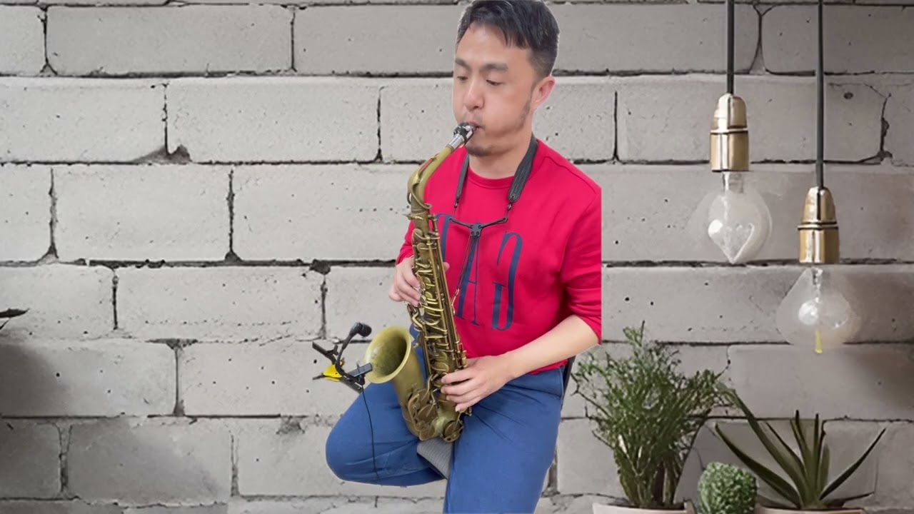 我的心裡只有你沒有他＿sax cover by Allen