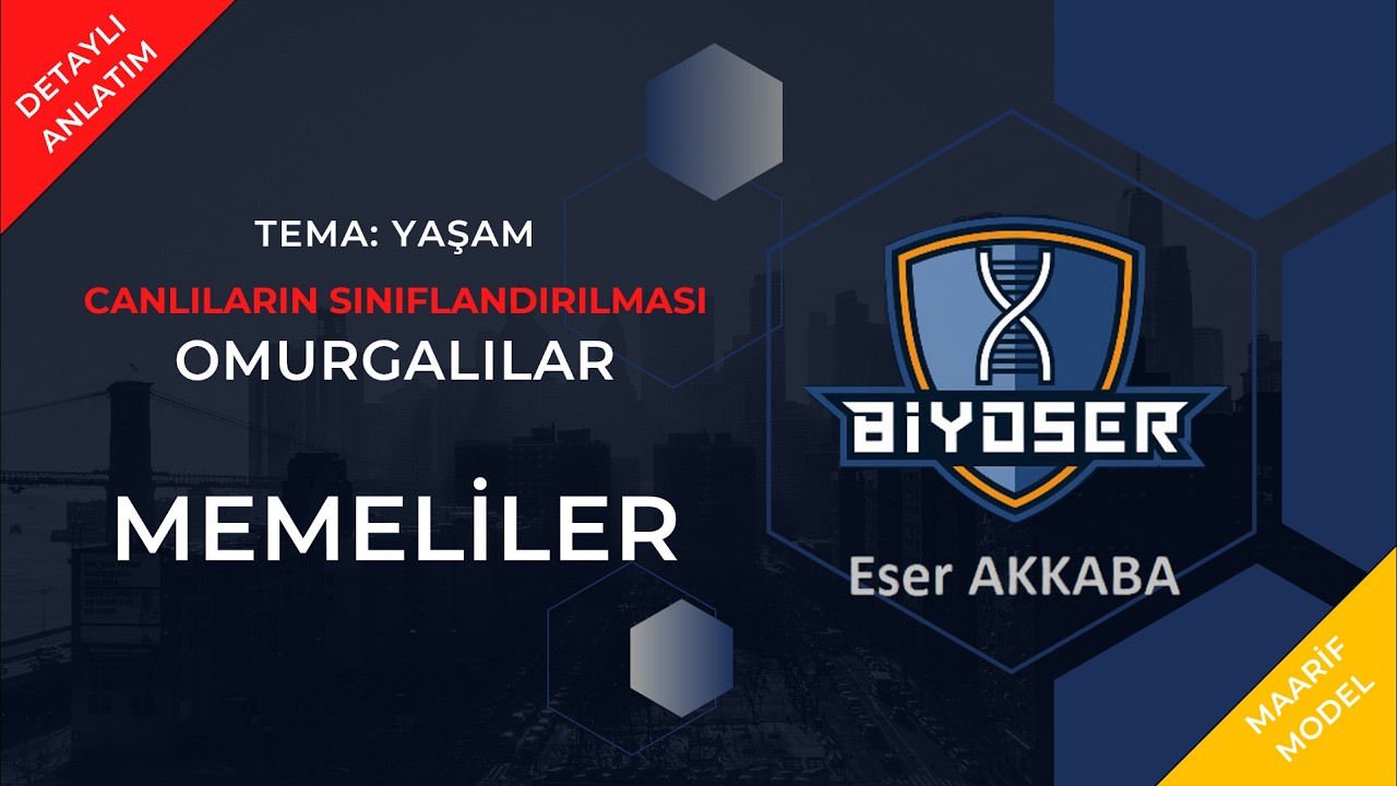 OMURGALI HAYVANLAR - MEMELİLER | 9. Sınıf ve TYT Biyoloji