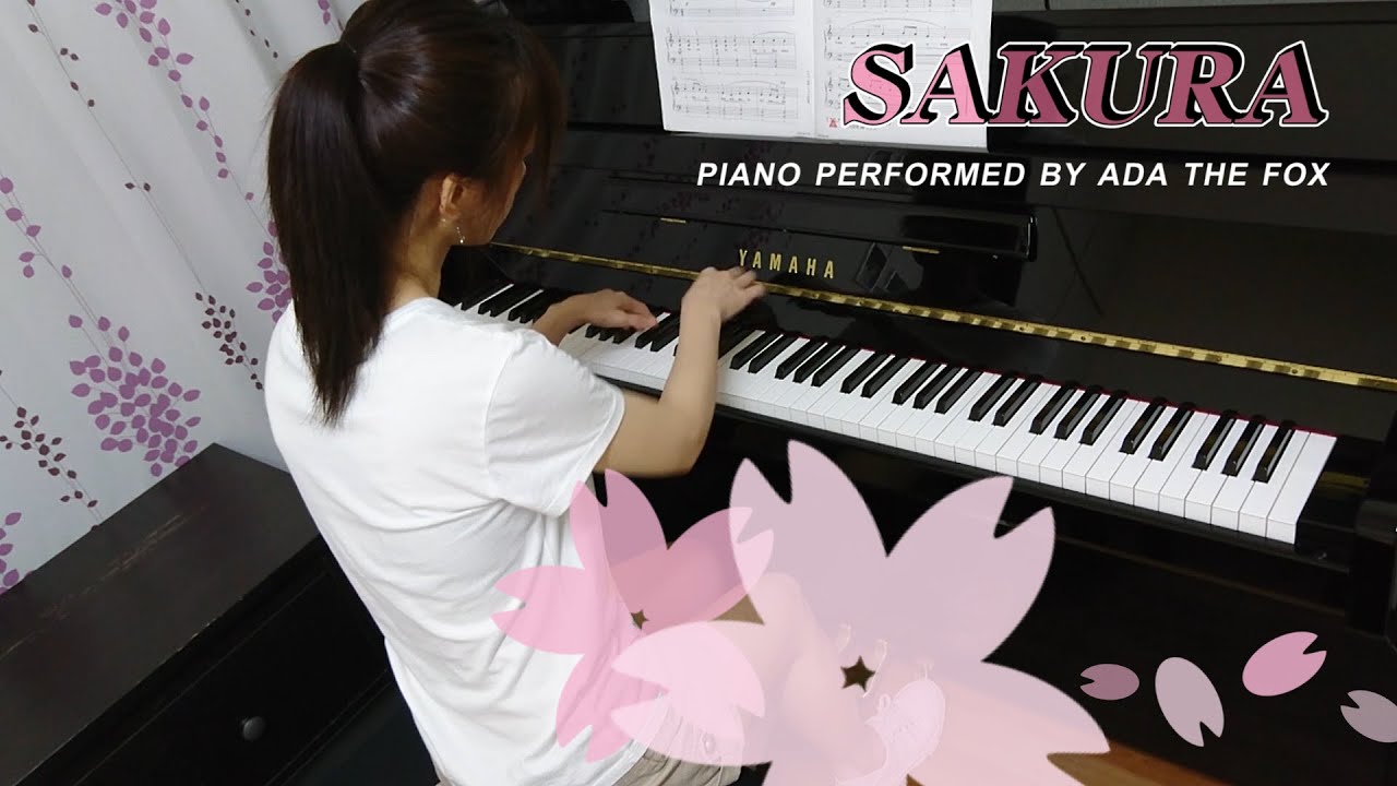 Sakura (櫻花)︱Faber Level 3A