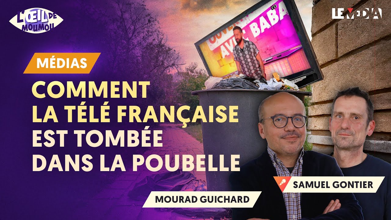 COMMENT LA TÉLÉ FRANÇAISE EST TOMBÉE DANS LA POUBELLE