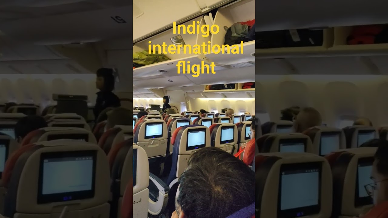 indigo international flight ✈️