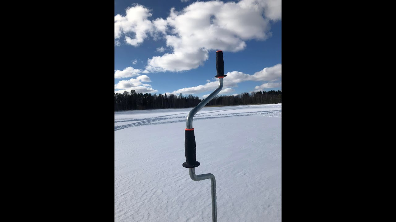 Burbot from ice. Miętusy z lodu.