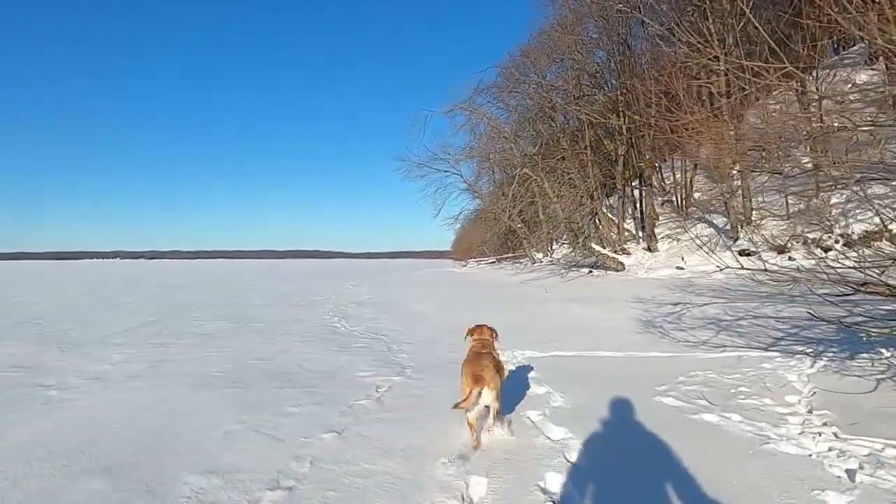Wellesley Island Wander Part 2
