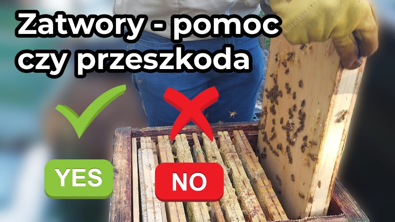 Pszczoły we wrześniu &ndash; czy zatwory pomagają