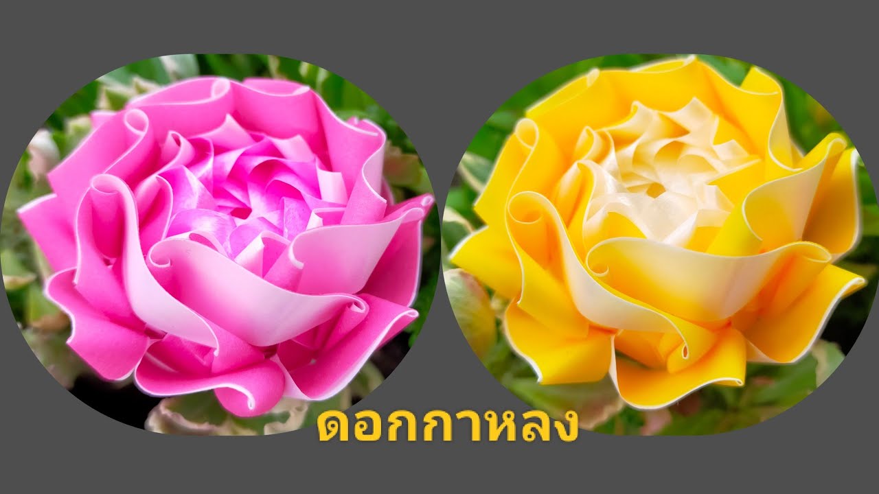 วิธีพับเหรียญโปรยทาน ดอกกาหลง by ป้าศรี DIY