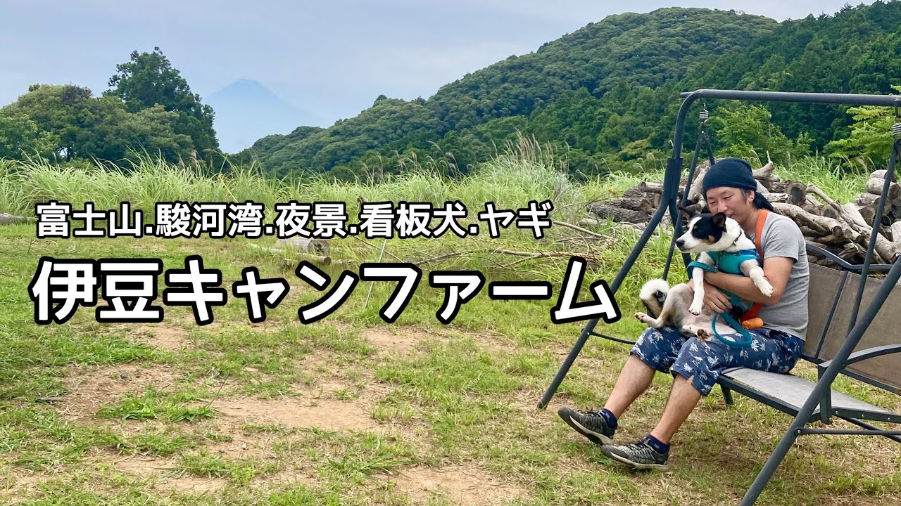 【西伊豆】看板犬と仲良くなりたい夏キャンプ