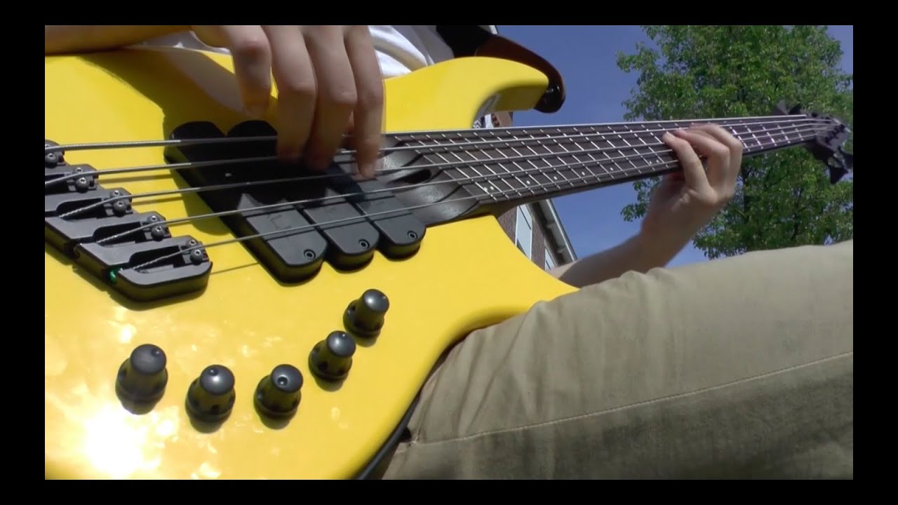 RHCP - Dark Necessities (Bass cover by Werner Erkelens)