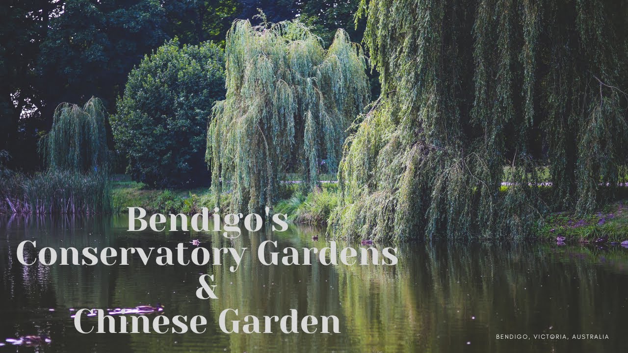 Bendigo Conservatory Garden's greenhouse & Chinese garden |honeylevi| a quick visit to Bendigo