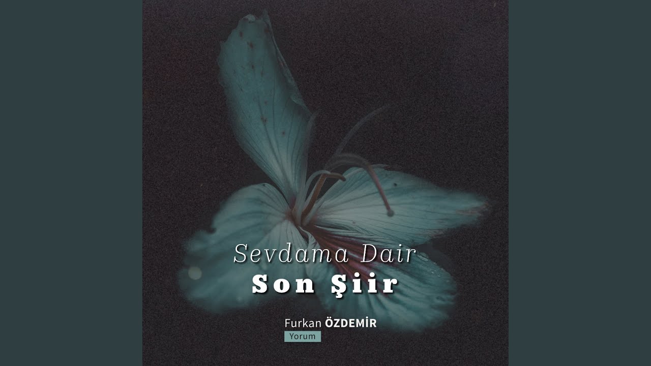 Sevdama Dair Son Şiir