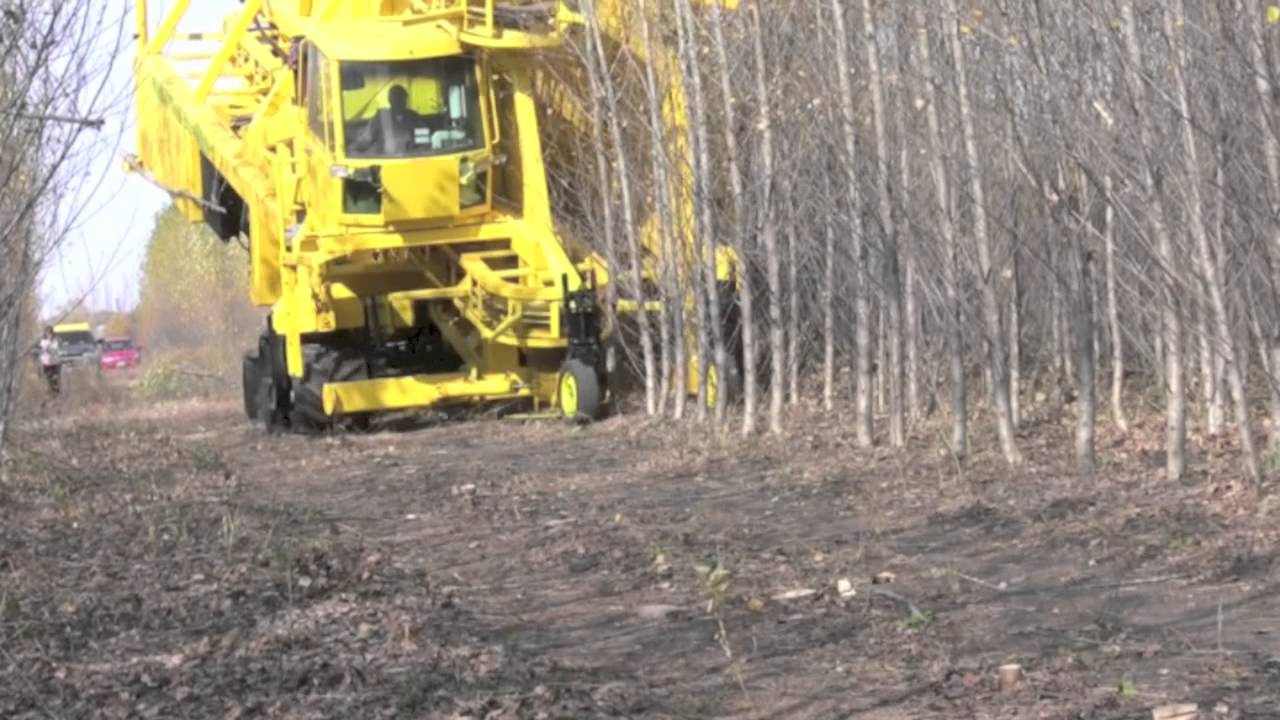 Whole Tree Harvester