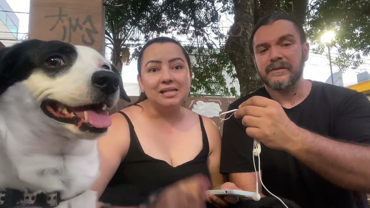 Alteração Metabólica: a raiz silenciosa das doenças em cães