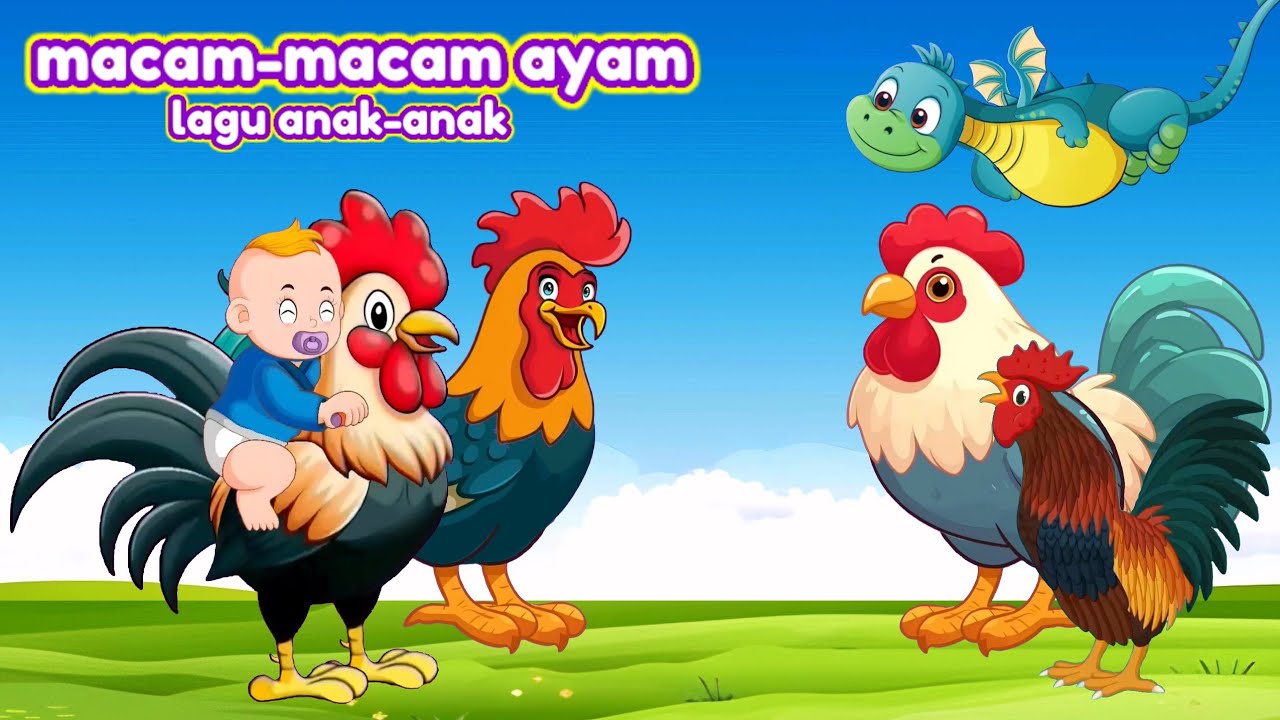 Lagu anak anak | macam macam ayam | ekshalova