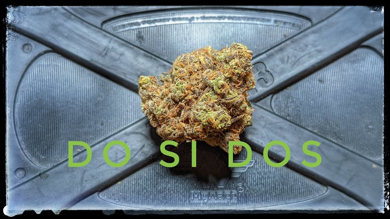 Strain Review - Do Si Dos - Nith & Grand