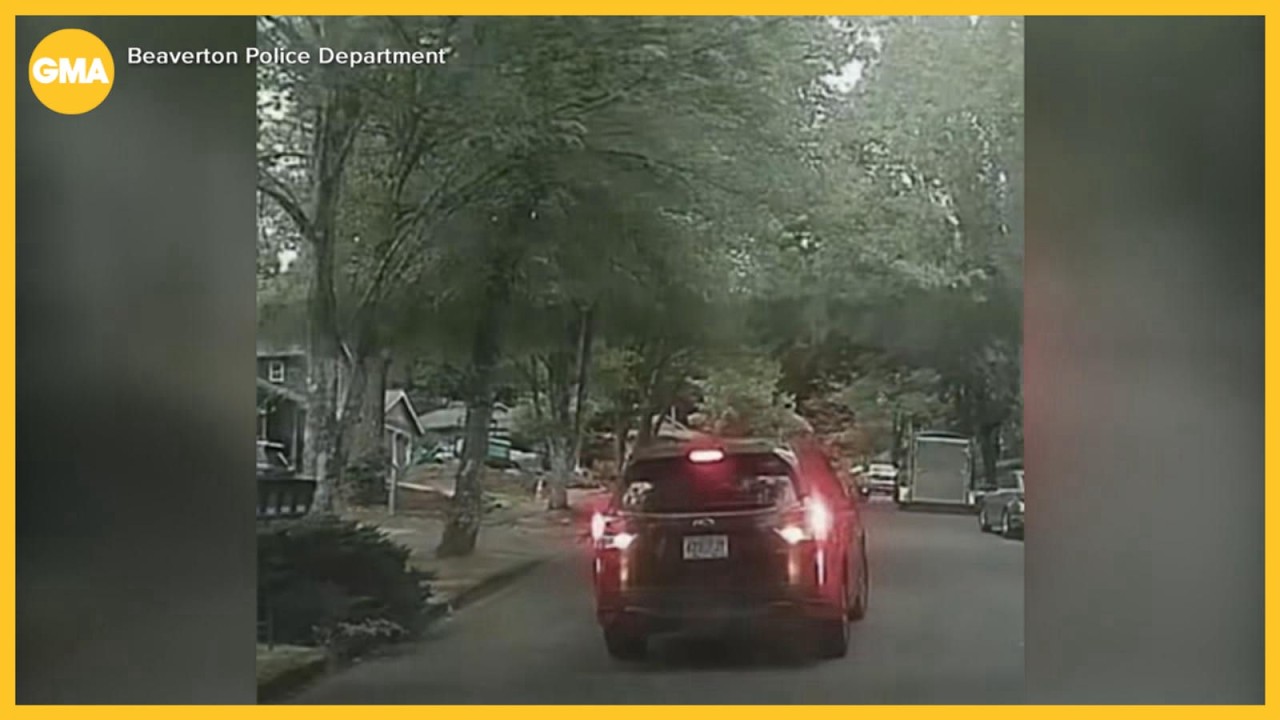 Road rage incident caught on camera