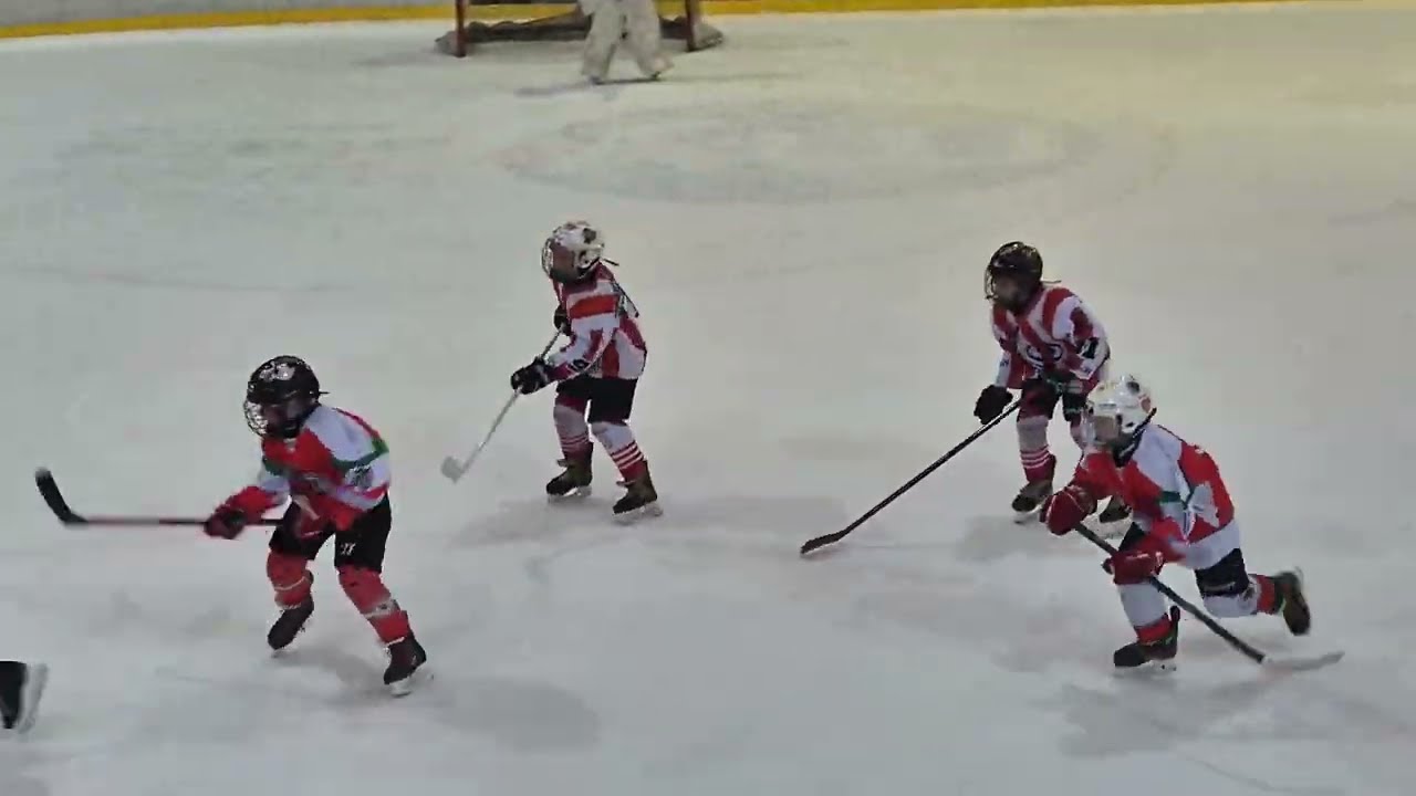 Duma Akademii Mini Hokeja Drużyna A🏒  Emilia koszulka 28 #hokej #hockey #minihokej #nhl #cracovia