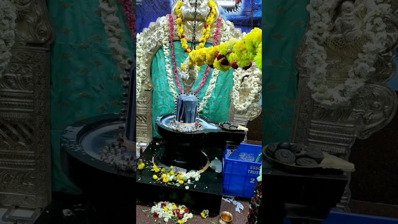 My Maha Shivratri experience in Bangalore 🪷💕