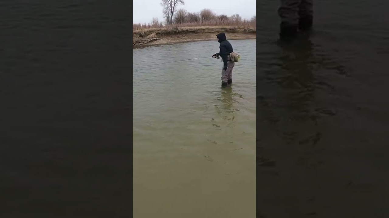 Shoulder Season
