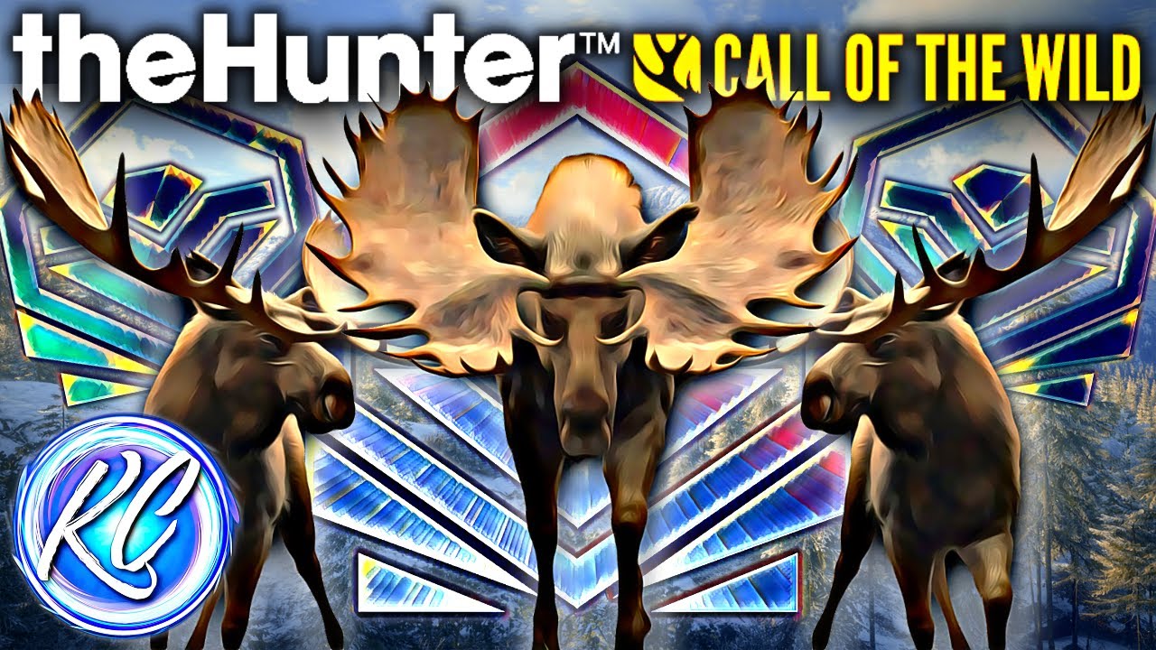 GO MOOSE GRIND TROPHIES! 3 Diamonds & ANOTHER MELANISTIC Moose?! | Call of the Wild