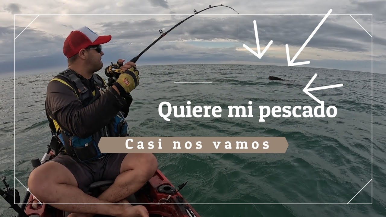Casi nos vamos