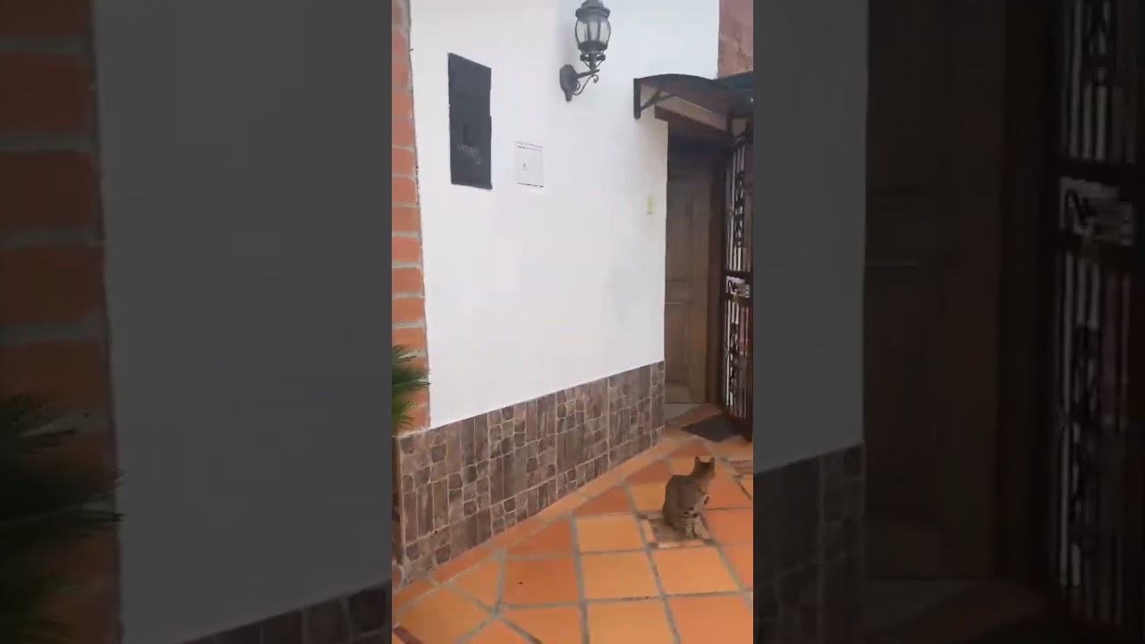S.B. casa
