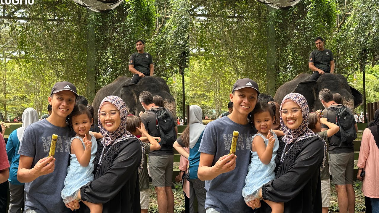 Pusat Konservasi Gajah Kebangsaan [National Elephant Conservation Center], Kuala Gandah.