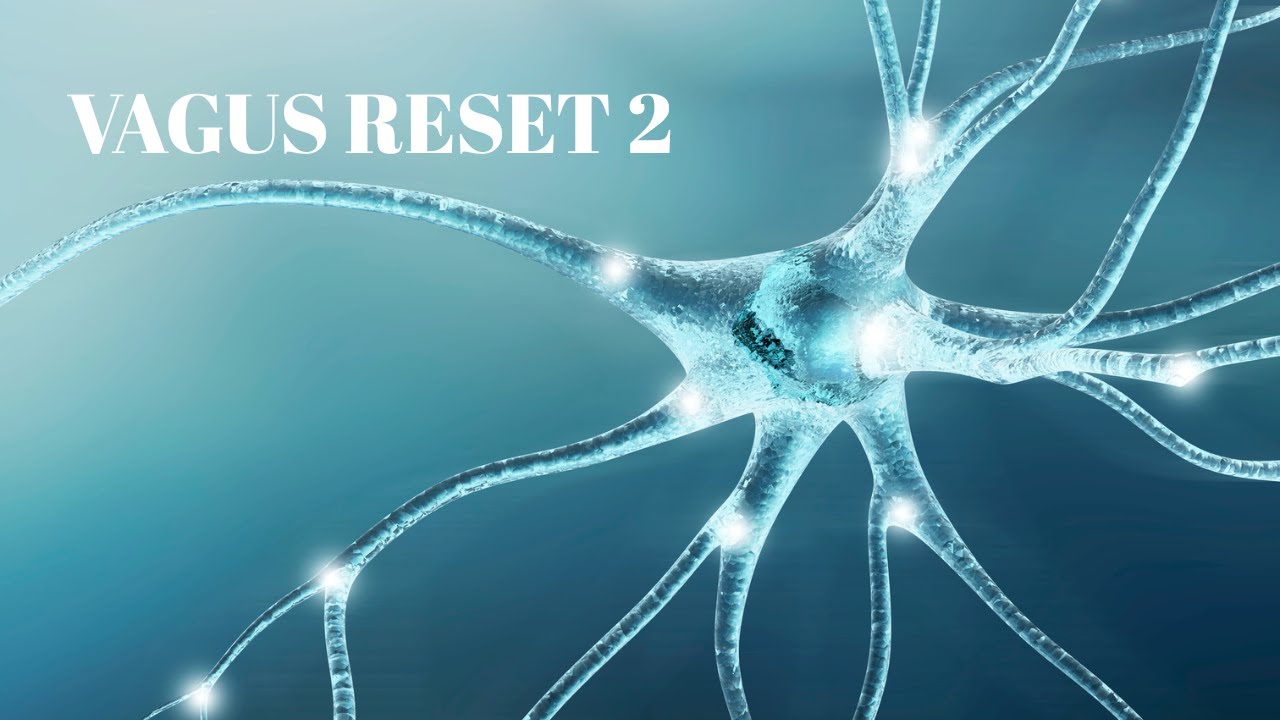VAGUS RESET 2