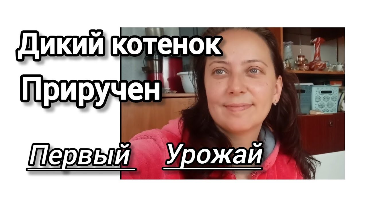 ОН БЫЛ ДИКИМ.....А ТЕПЕРЬ МУРЧИТ У МЕНЯ НА РУКАХ🌱🐾#українськесело #життявселі #рекомндации
