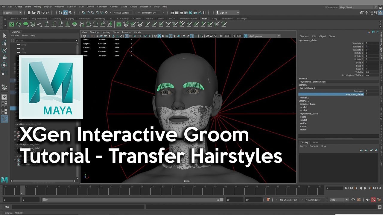 Save and Transfer Hairstyles  - Maya XGen Interactive Groom Tutorial