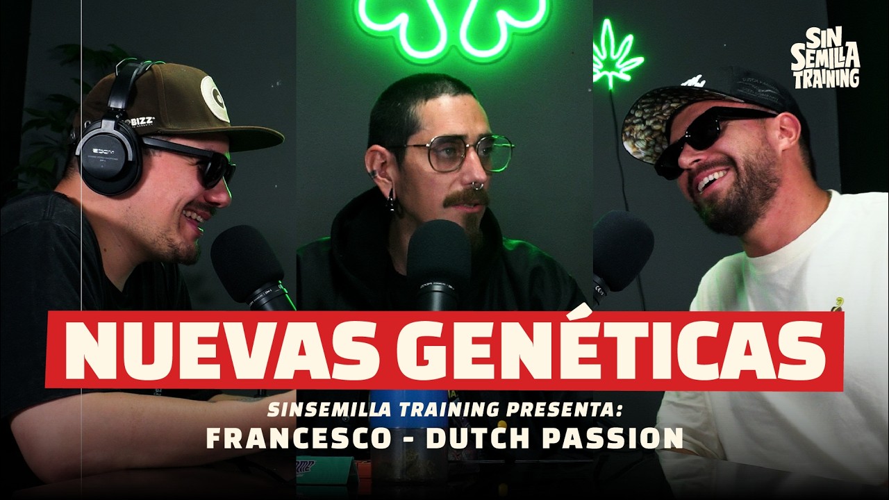 This is how Dutch Passion works from its new legal facilities in Amsterdam.