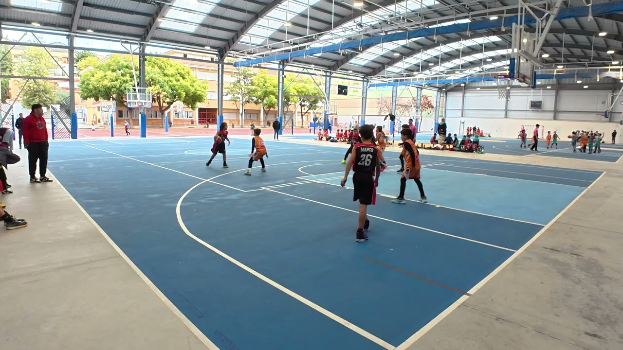 Liga Campeonato - El Palo vs CB Algazara 24/01/26 02/06