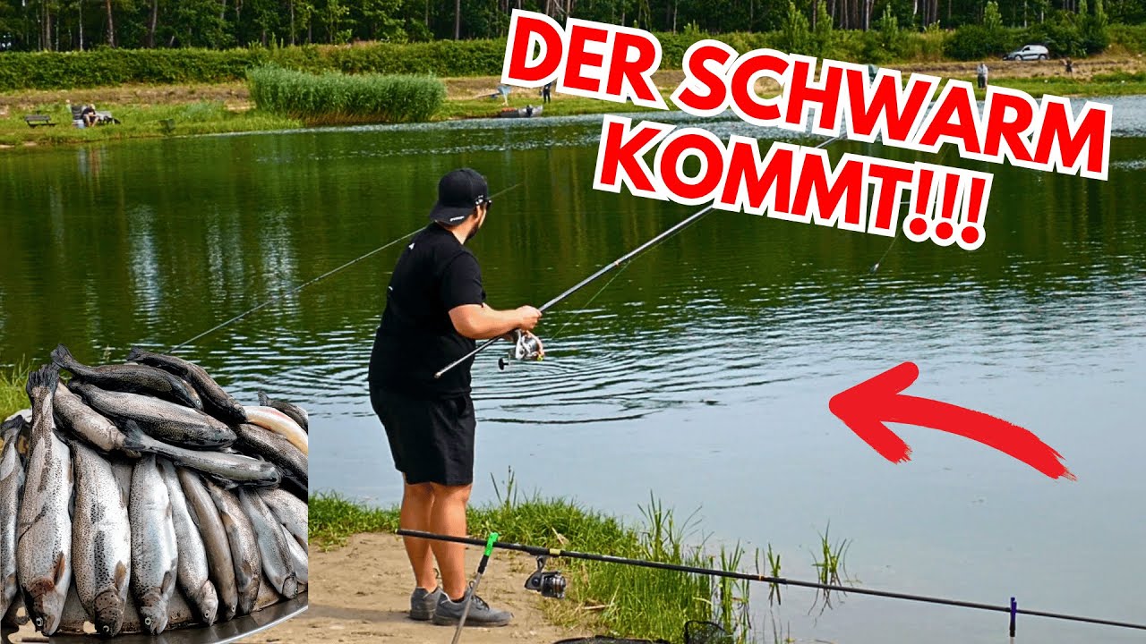 🎣 Forellenangeln im Sommer! Bombarde & Soloblei eskalieren im Angelpark Thönse | Schwärme vor uns!