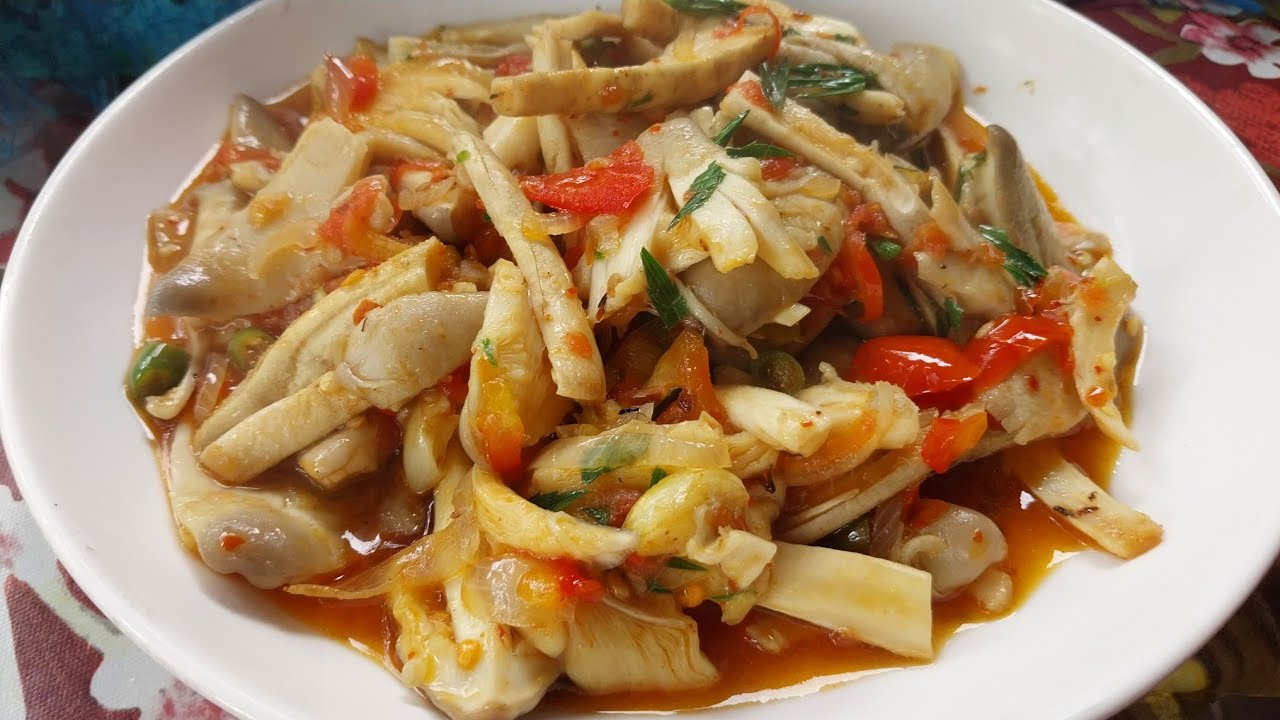 တောင်ပို့မှို ပေါ်ဦးပေါ်ဖျား လတ်တလောလေး ချက်စားမယ် #မှို