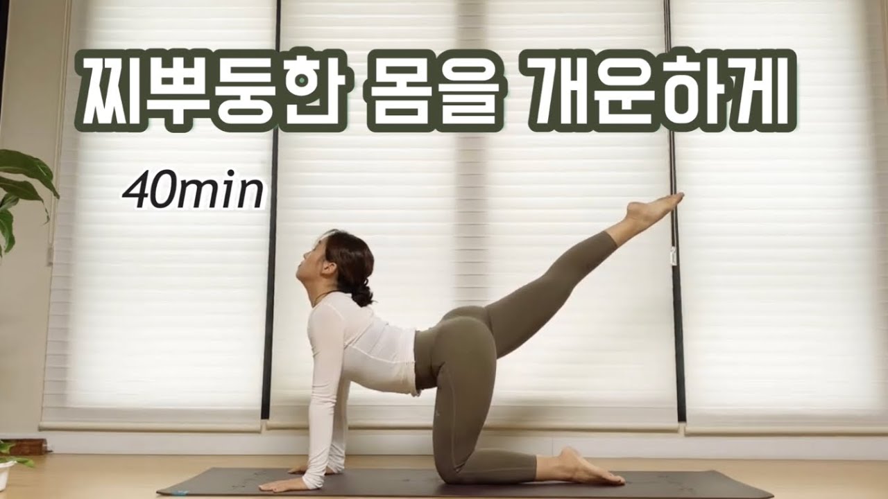 [서리요가#37] 척추, 골반, 다리, 발목까지 몸 전체가 개운해지는 40분 요가/ 하체순환, 전신순환요가