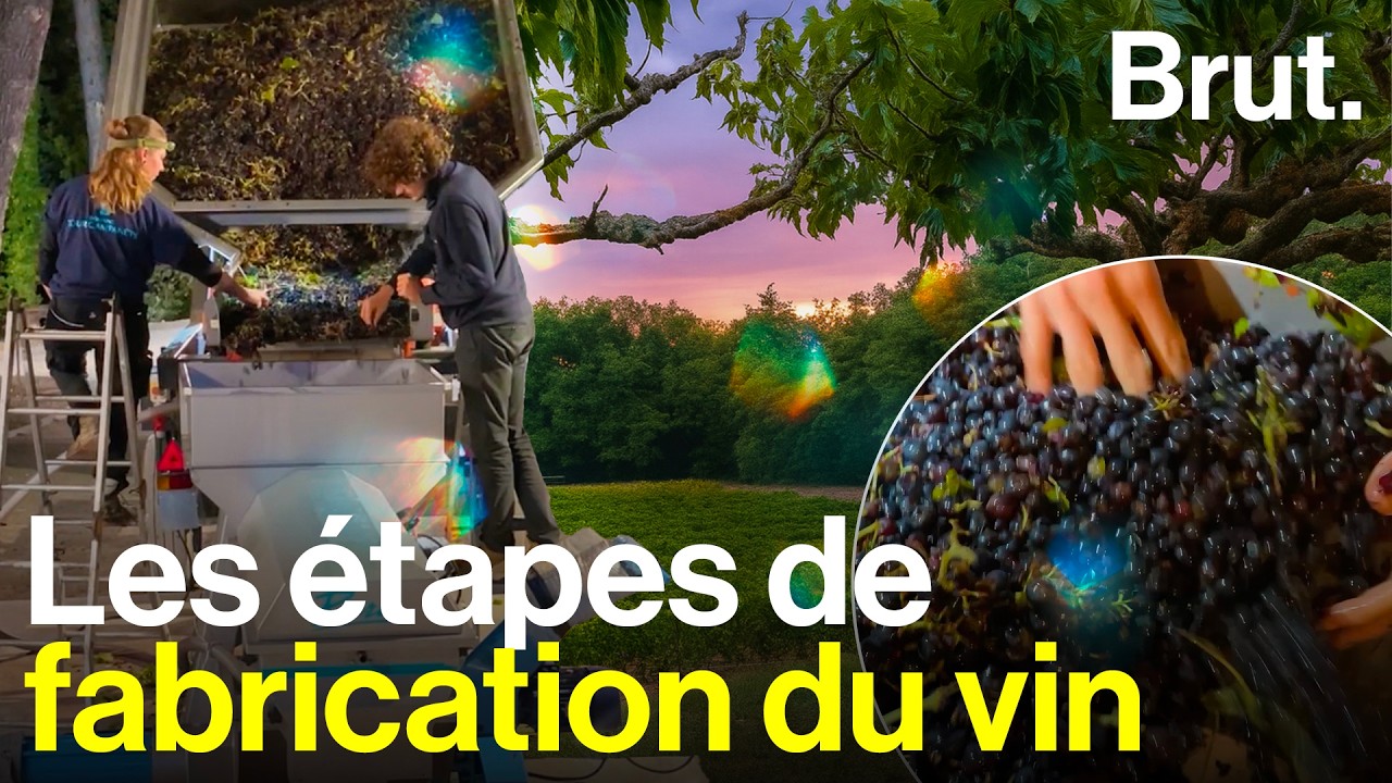 A 23 ans, Ettore nous explique comment on fait du vin