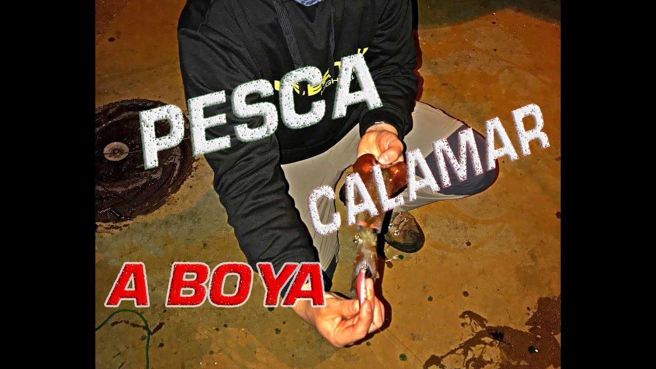 APAREJO PESCA DEL CALAMAR O SEPIA A BOYA 5/5