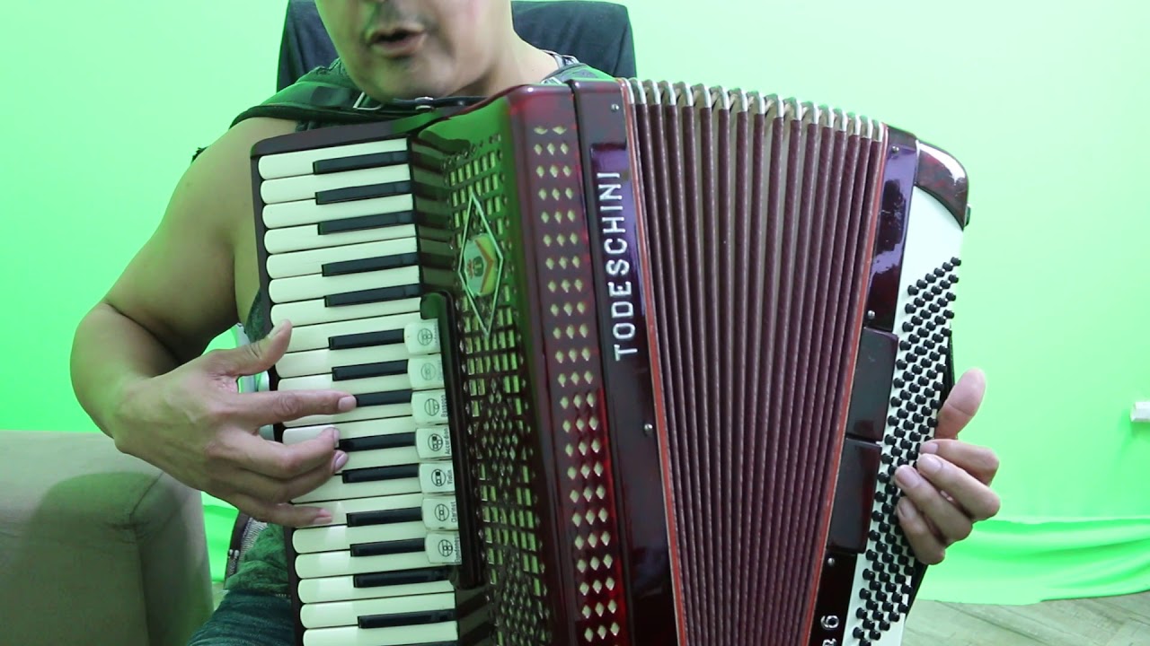 Video Aula Acordeon - Definição do Grito.