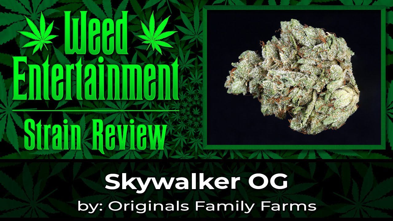 Skywalker OG by Originals Family Farms - Review - May 2024
