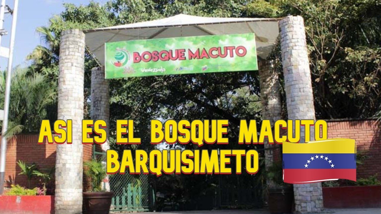 Descubre la verdadera belleza del Bosque Macuto en Barquisimeto, Venezuela