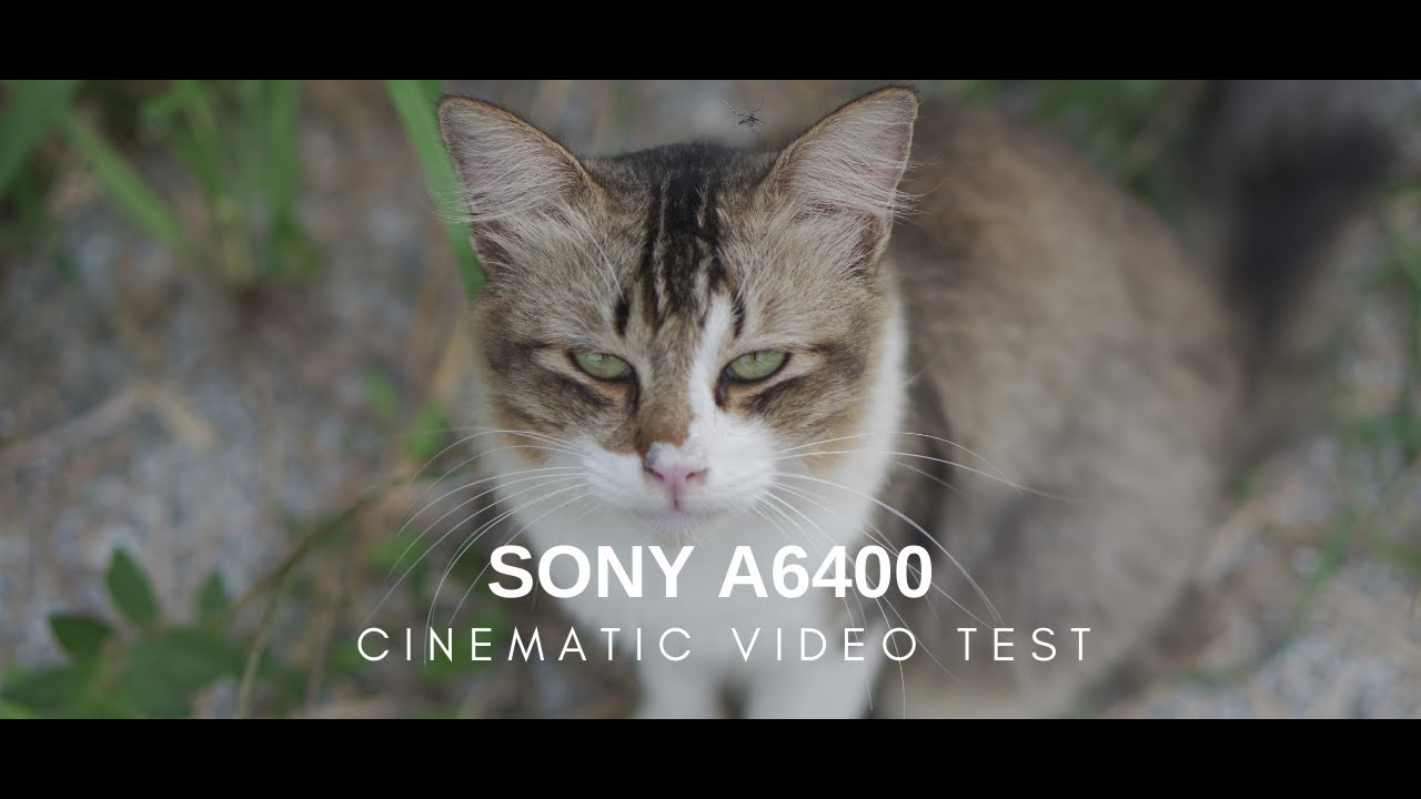 Sony A6400 + Sigma 30mm & Sony E 50mm Cinematic Video Test