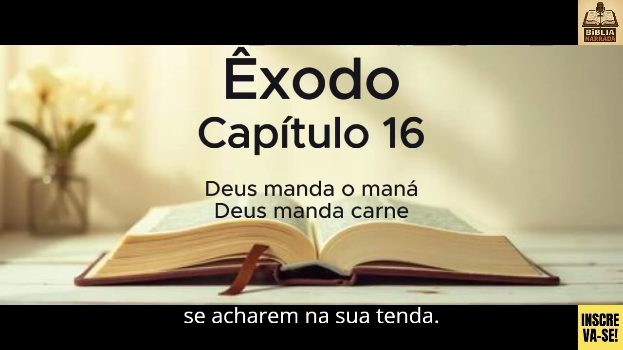Êxodo - Capítulo 16 - Legendado - Bíblia Narrada