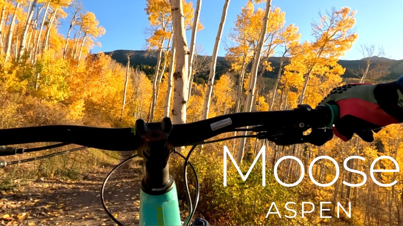 I Almost Hit A Moose Downhill Mountain Biking In Snowmass Aspen Colorado!