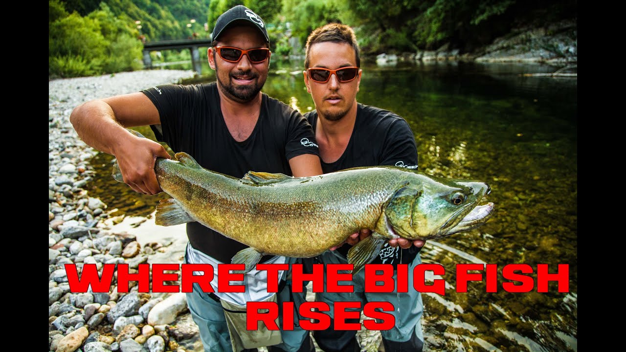 WHERE THE BIG FISH RISES, Part 1 Slovenia MOVIE ( Fly fishing, Marble 